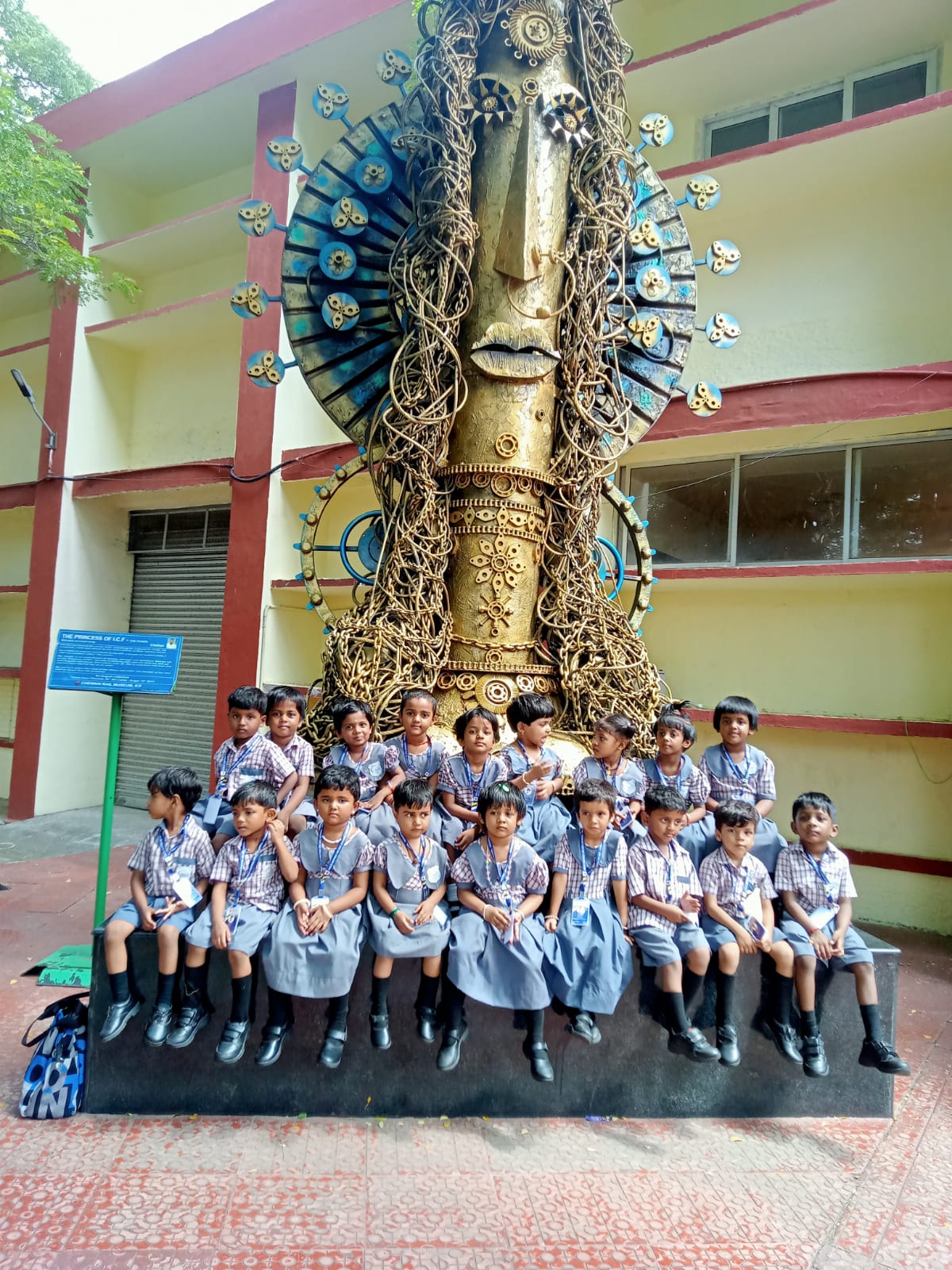 PMRMHSS_6